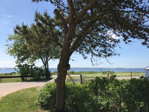 Vodatent Rosenvold Strand Camping - Camping Jutland-Central