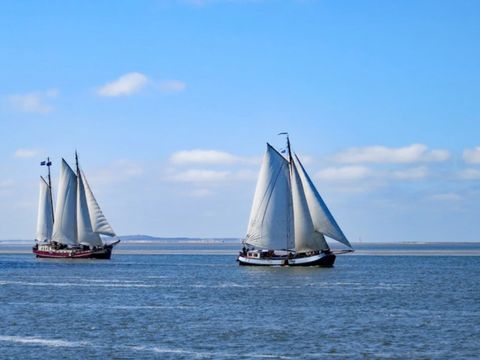 Dormio Water Resort Medemblik - Camping Bergen - Image N°19