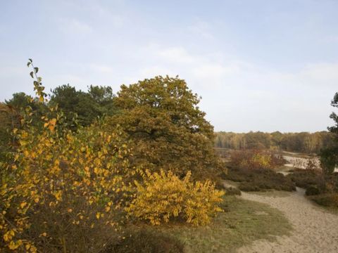 Dormio Resort De Hondsrug - Camping Aa en Hunze - Image N°13