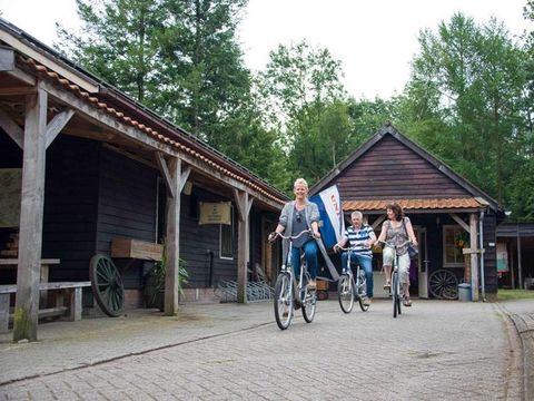 Vakantiepark De Wiltzangh - Camping De Wolden