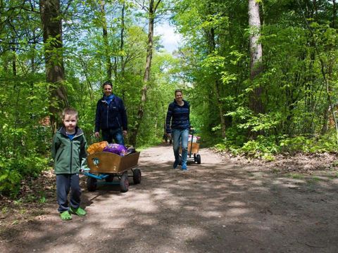 Vakantiepark De Wiltzangh - Camping De Wolden - Image N°17