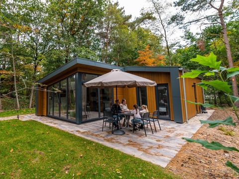 Vakantiepark De Wiltzangh - Camping De Wolden - Image N°20