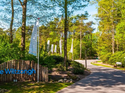 Vakantiepark De Wiltzangh - Camping De Wolden - Image N°4