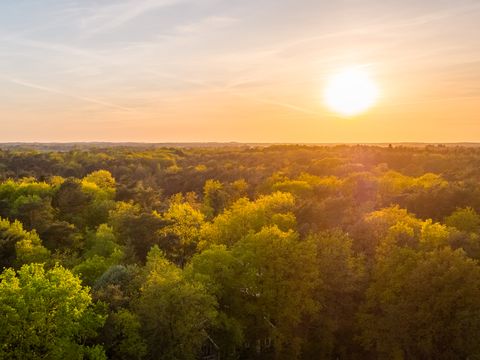 Vakantiepark De Wiltzangh - Camping De Wolden - Image N°26