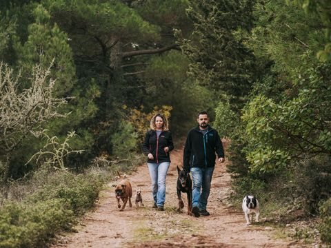 Vakantiepark De Wiltzangh - Camping De Wolden - Image N°18
