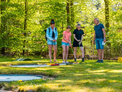 Vakantiepark De Wiltzangh - Camping De Wolden - Image N°2