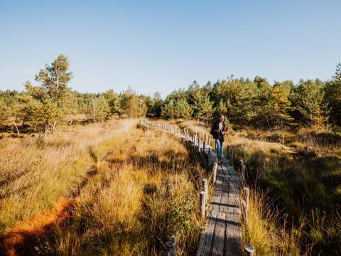 Vakantiepark De Wiltzangh - Camping De Wolden - Image N°25