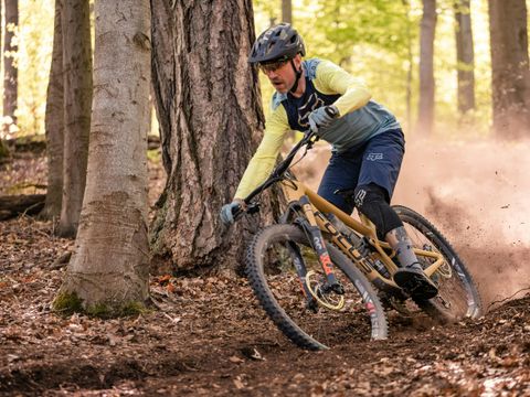 Vakantiepark De Wiltzangh - Camping De Wolden - Image N°23