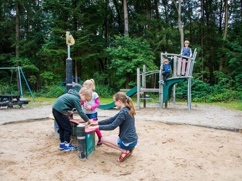 Vakantiepark De Wiltzangh - Camping De Wolden - Image N°11
