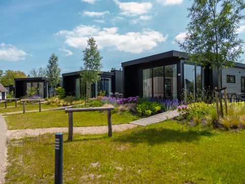Vakantiepark De Wiedense Meren - Camping Steenwijkerland - Image N°9