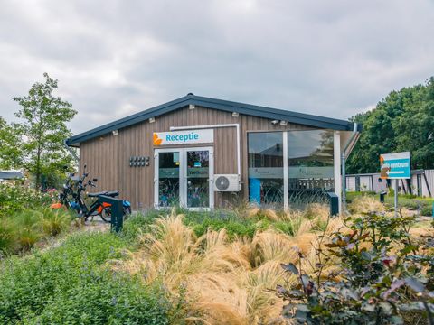 Vakantiepark Aan de Maas - Camping Maasdriel