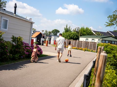 Vakantiepark De Zeeuwse Parel - Camping Tholen - Image N°25