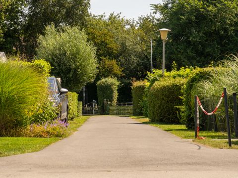 Vakantiepark De Zeeuwse Parel - Camping Tholen - Image N°25