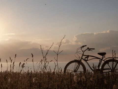 Vakantiepark De Zeeuwse Parel - Camping Tholen