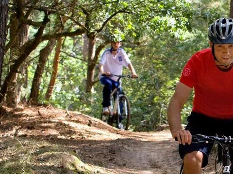 Camping Marvilla Parks - Kaatsheuvel - Camping Loon op Zand