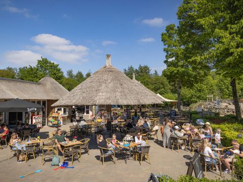 Camping Marvilla Parks - Kaatsheuvel - Camping Loon op Zand