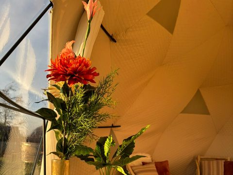 TinyParks Tiengemeten - Camping Hoeksche Waard