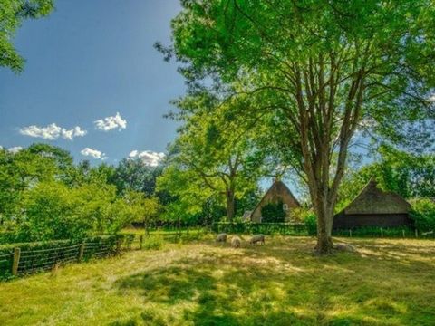 Vakantiepark De Kremmer - Camping Aa en Hunze - Image N°22