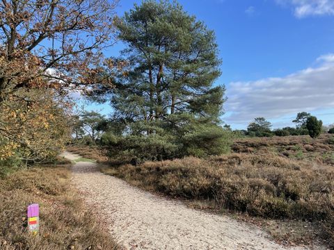 Vakantiepark De Kremmer - Camping Aa en Hunze - Image N°25