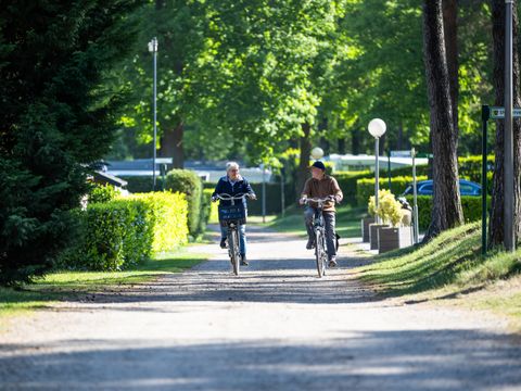 Camping Roland - Camping Bergen - Image N°18