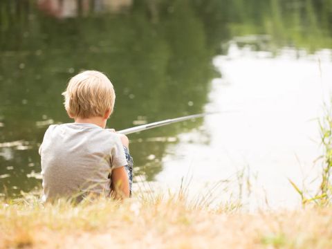 Europe Tents Domaine des Messires - Camping Vosges - Image N°5