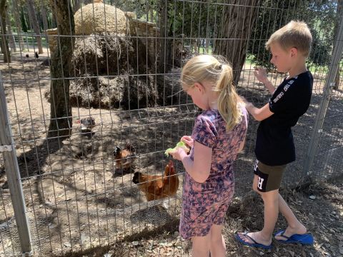 Europe Tents Camping Begur - Camping Gérone