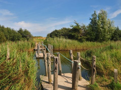 Vakantiepark de Boomgaard - Camping Veere - Image N°46