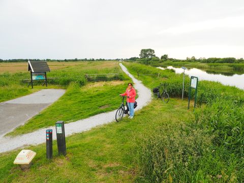 Boetiekpark de Kas - Camping Weststellingwerf - Image N°3