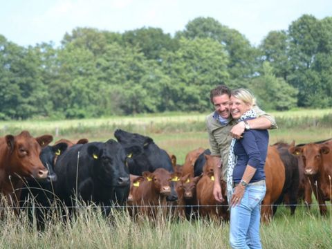 Erve Woolderink - Camping Wierden - Image N°4