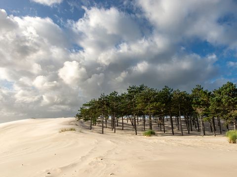 Vakantiepark Schoorlse Duinen - Camping Bergen - Image N°5