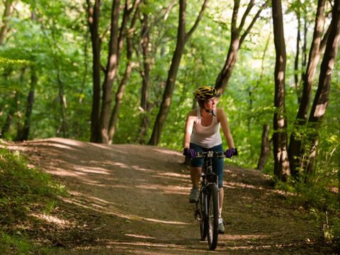 Dormio Hotel Der Seehof - Camping Rhénanie du Nord-Westphalie - Image N°4