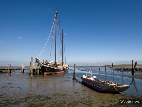Villapark Residentie Texel - Camping Texel - Image N°34
