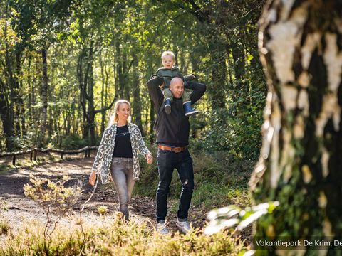 Villapark Residentie Texel - Camping Texel - Image N°35