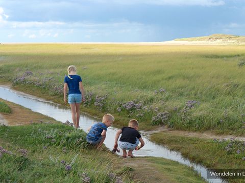 Villapark Residentie Texel - Camping Texel - Image N°36