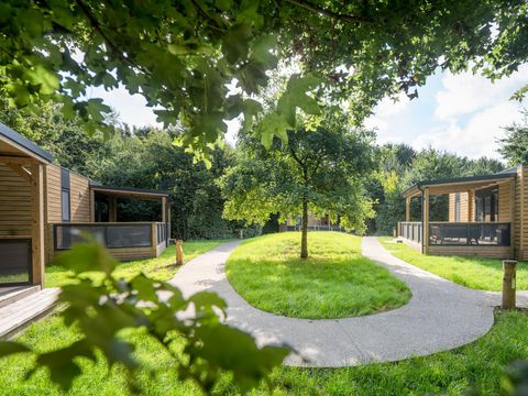 Urban Gardens Ieper - Camping Flandre Occidentale - Image N°4