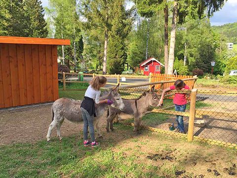 Bungalowpark Felsenhof - Camping Rhénanie-Palatinat