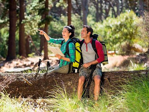 Bungalowpark Felsenhof - Camping Rhénanie-Palatinat
