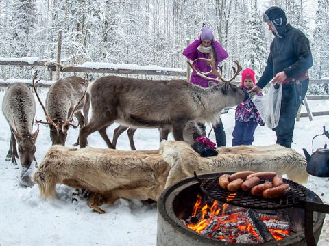 Valkeisen Loma - Camping Central Finland - Image N°2