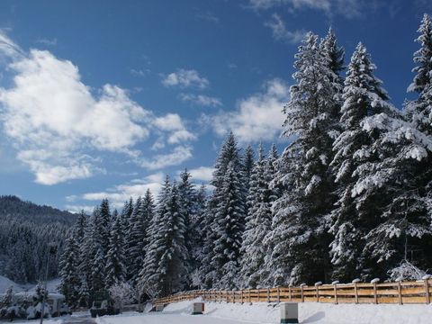 Camping Leutasch - Camping Tyrol - Image N°20