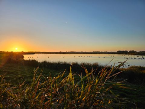 Vakantiepark Ljeppershiem - Camping Noardeast-fryslân - Image N°18