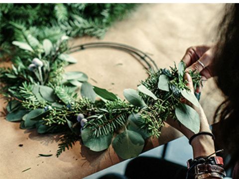 Thuysgrond - Camping Bergeijk - Image N°2