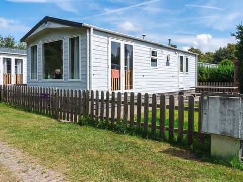 Vakantiepark de Nollen - Camping Schagen - Image N°32