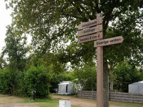 Vakantiepark de Nollen - Camping Schagen - Image N°5