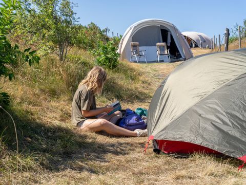 Duincamping de Lepelaar - Camping Schagen - Image N°3