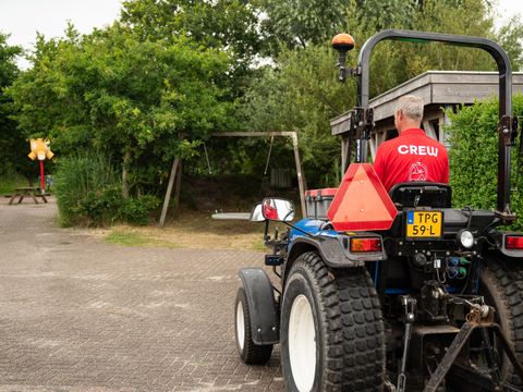 Duincamping de Lepelaar - Camping Schagen - Image N°4