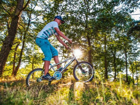 Recreatiepark de Achterste Hoef - Camping Bladel