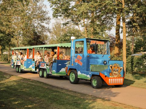 Recreatiepark de Achterste Hoef - Camping Bladel - Image N°3
