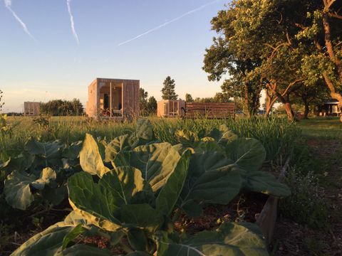  Pean-Buiten Weidum - Camping Leeuwarden