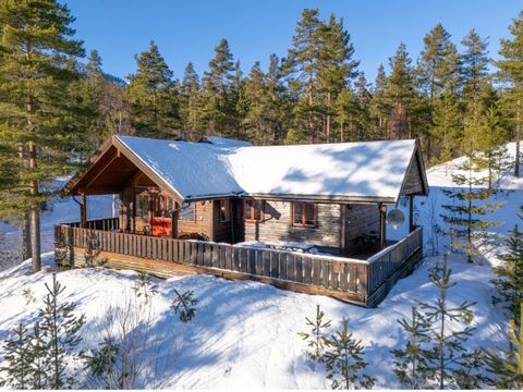 Fjord Rentals - Camping Telemark - Image N°22