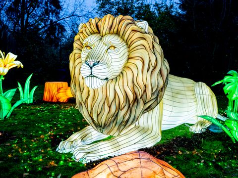 Serengeti Park - Camping Basse-saxe - Image N°19